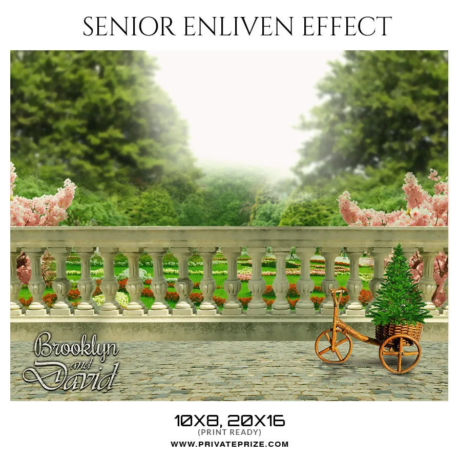 BROOKLYN AND DAVID - SENIOR ENLIVEN EFFECT