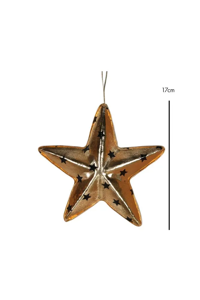 Gold & Black Star Christmas Decoration