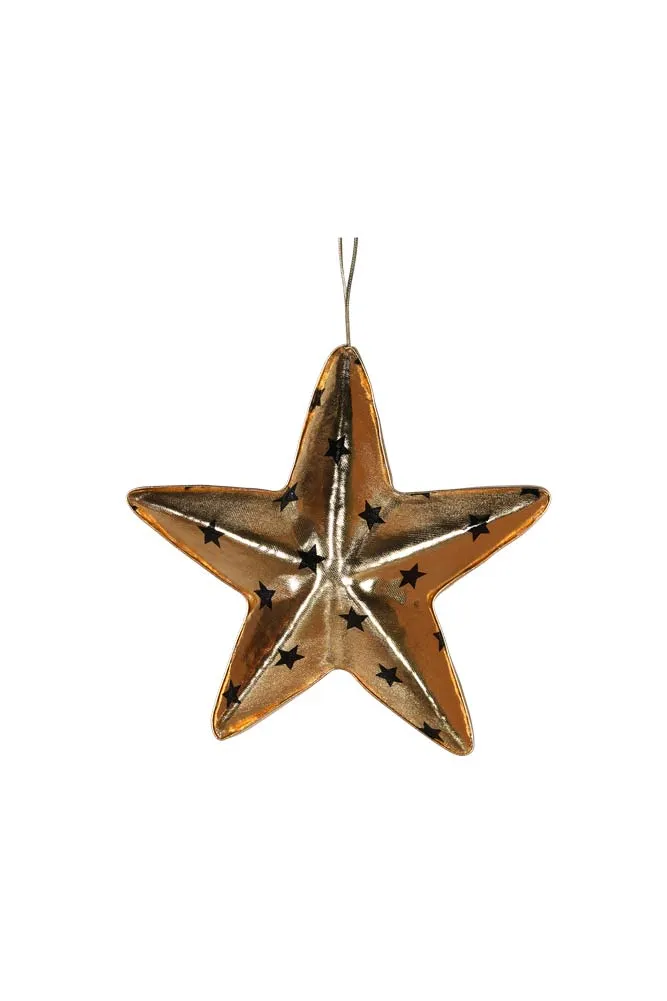 Gold & Black Star Christmas Decoration